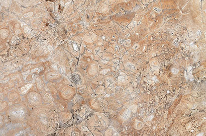 Ceramic Wall Tiles