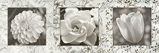 Ceramic Wall Tiles
